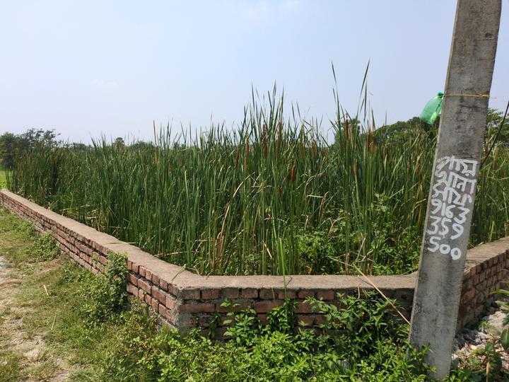 Sonargaon 2 Main Image 1
