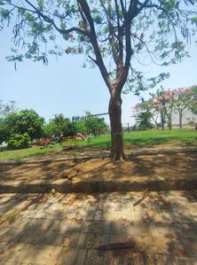 Image of 1000 Sq.ft Residential Plot / Land for sale in Pirda-2, Raipur for Rs. 2350000