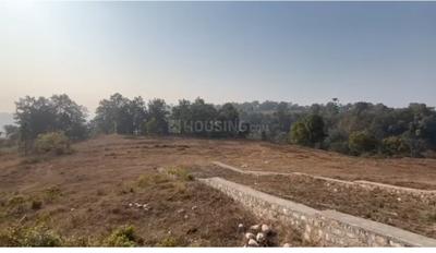 YEIDA Individual Residential Plots Plot View 2