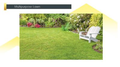 Image of 1150 Sq.ft 3 BHK Builder Floor for sale in Signature Global City 81, Sector 81, Gurgaon for Rs. 12345600