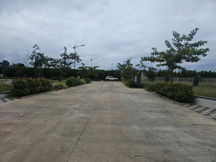 Shindaone Main Image 1