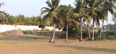 Image of 20000 Sq.ft Residential Plot / Land for sale in Koovathur, Chennai for Rs. 30000000