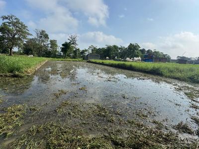 Ranchi City property Plot View 3