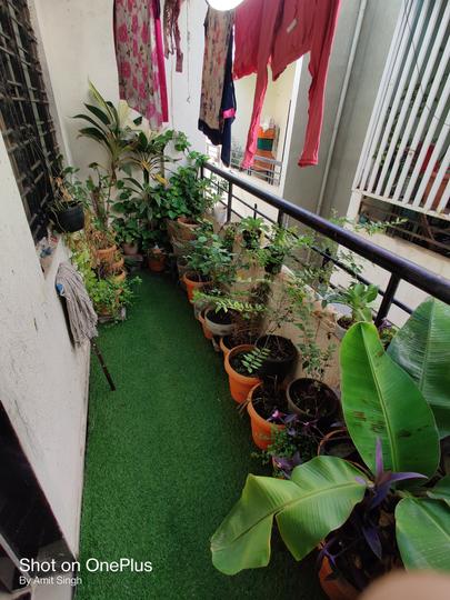 Balaji Heights Main Image 1