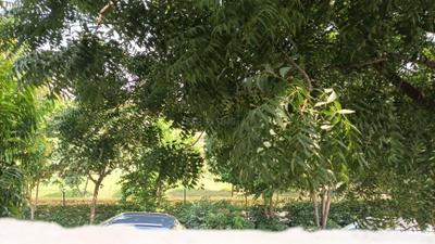 Image of 1950 Sq.ft 2.5 BHK Builder Floor for rent in Wave City, Ghaziabad for Rs. 20000