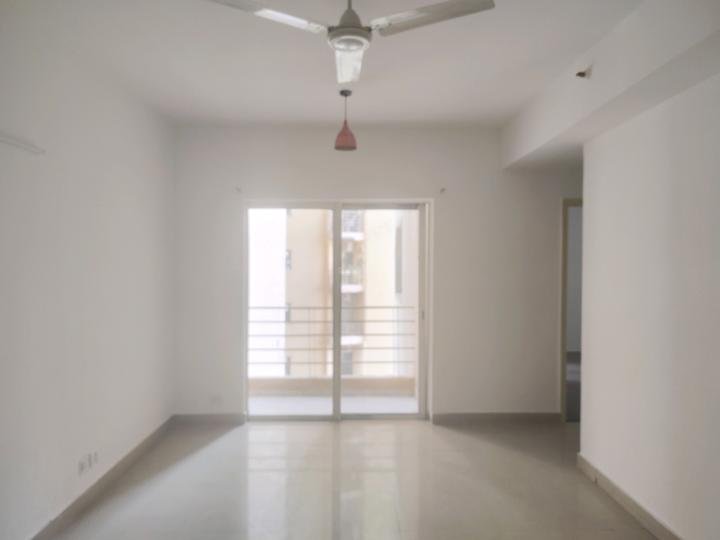 Paras Tierea Main Image 1