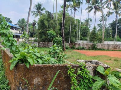 Image of 1400 Sq.ft Residential Plot / Land for sale in Chalakudy, Thrissur for Rs. 16500000