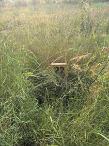 Image of 1200 Sq.ft Residential Plot / Land for sale in Sheikhmanpura, Kolar for Rs. 2998800