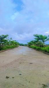 Image of 1000 Sq.ft Residential Plot / Land for sale in Sakri, Bilaspur for Rs. 1500000