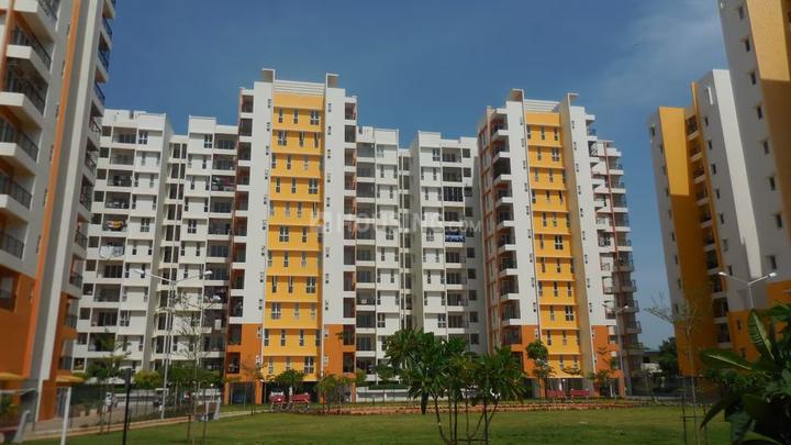Olympia Grande Main Image 1