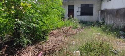 Block C Plot View 2