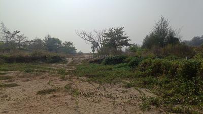 Image of 93108 Sq.ft 4 BHK Farm House for sale in Morjim, Goa for Rs. 1100000000
