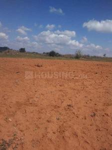 Image of 9378 Sq.ft Residential Plot / Land for sale in Dholera, Ahmedabad for Rs. 159426000
