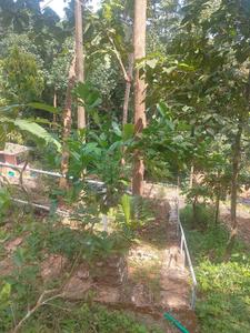 Image of 31798 Sq.ft Residential Plot / Land for sale in Killannur, Thrissur for Rs. 5500000