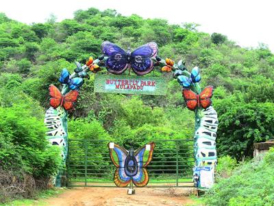 Image of 145 Sq.ft Residential Plot / Land for sale in Mulapadu, Vijayawada for Rs. 2465000