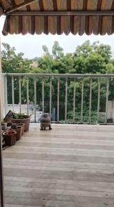 Balcony Image of 1500 Sq.ft 2 BHK Apartment / Flat for rent in Narendra Nagar Nagpur for Rs. 25000
