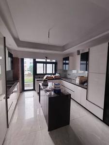 Kitchen Image of 3870 Sq.ft 3 BHK Apartment / Flat for rent in Sector-4 Rohtak for Rs. 22000