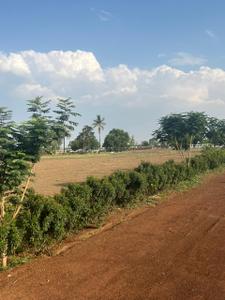 Image of 6762 Sq.ft Residential Plot / Land for sale in Kumhari, Bhilai for Rs. 3387764