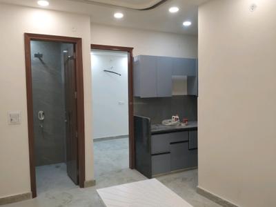 Living Room Image of 590 Sq.ft 2 BHK Builder Floor for sale in Shastri Nagar New Delhi for Rs. 5200000