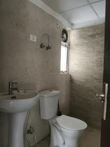 Common Bathroom Image of 1100 Sq.ft 2.5 BHK Apartment / Flat for rent in Amrapali Verona Heights, Noida Extension Greater Noida for Rs. 20000