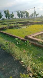 Image of 1000 Sq.ft Residential Plot / Land for sale in Sarojini Nagar, Lucknow for Rs. 1550000