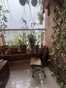 Balcony Image of 1000 Sq.ft 2 BHK Apartment / Flat for sale in GK Aryavat, Ravet Pune for Rs. 6900000