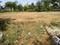 yashvi green Plot View 2
