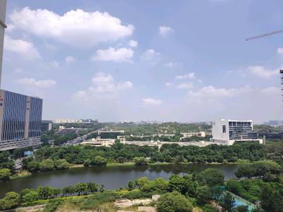 Living Room Image of 1198 Sq.ft 2.5 BHK Apartment / Flat for rent in Mantri Celestia, Financial District Hyderabad for Rs. 45000