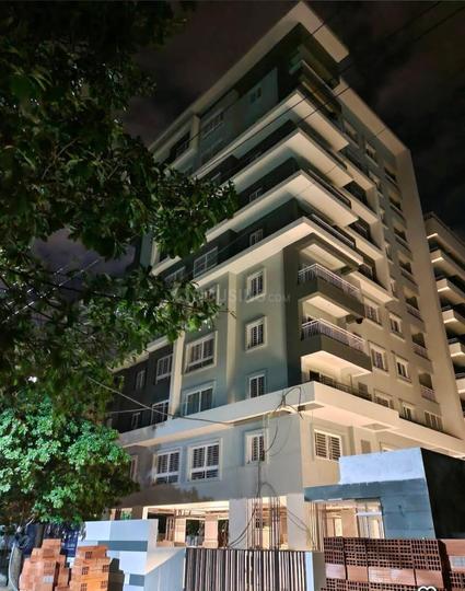 DNR Spring Leaf Main Image 1