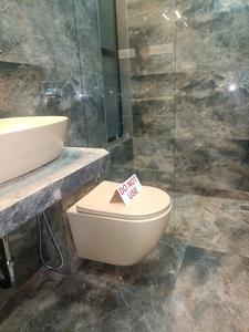 Common Bathroom Image of 1040 Sq.ft 2 BHK Apartment / Flat for sale in Paradise Sai Platinum, Kharghar Navi Mumbai for Rs. 10500000