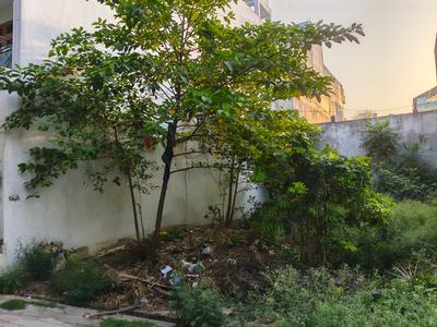 Arjun Ganj Plot View 3