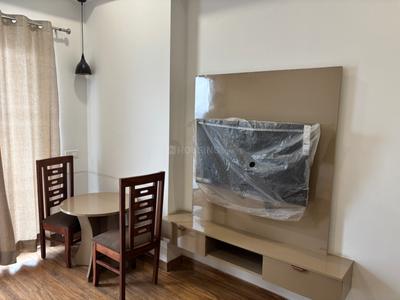 Hall Image of 650 Sq.ft 1 RK Studio for rent in Blue Spectrum Metro Block A And E, Sector 75 Noida for Rs. 38000