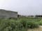 Chhapraula Main Image 1