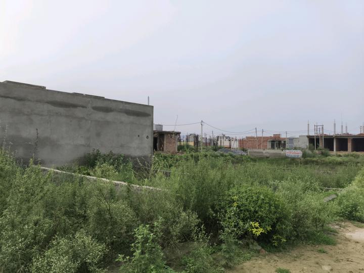 Chhapraula Main Image 1