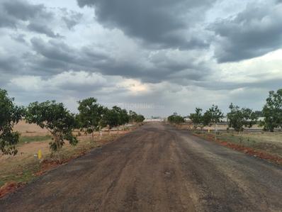 Image of 1818 Sq.ft Residential Plot / Land for sale in Bapatla Town, Bapatla for Rs. 303000