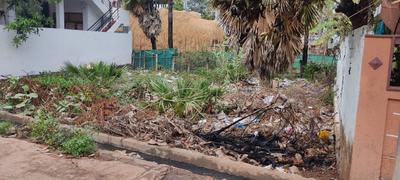 Indra Palem Plot View 3