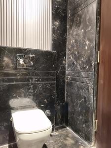 Common Bathroom Image of 3000 Sq.ft 4 BHK Builder Floor for sale in Whispering Meadows, Sector 43 Gurgaon for Rs. 48500000