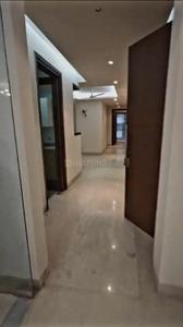 Hall Image of 2700 Sq.ft 4 BHK Builder Floor for sale in Greater Kailash II New Delhi for Rs. 69900000