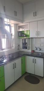 Kitchen Image of 1100 Sq.ft 2 BHK Apartment / Flat for rent in Naikkanal Thrissur for Rs. 20000