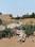 Sector 25 Plot View 2