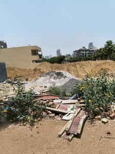 Sector 25 Plot View 2