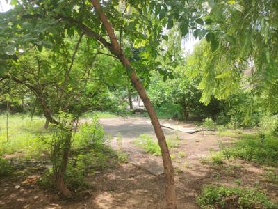 Playing Area Image of 2250 Sq.ft 3 BHK Independent House for sale in Sector 28 Faridabad for Rs. 63500000
