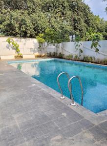 Image of 950 Sq.ft 2 BHK Apartment / Flat for rent in Ashtekar Leela Grandeur, Hadapsar, Pune for Rs. 35000