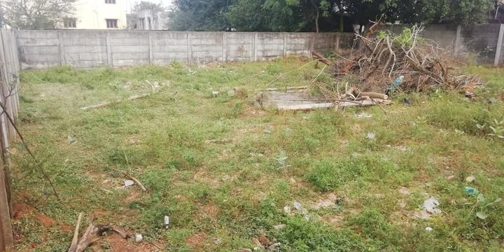 Doiwala Main Image 1