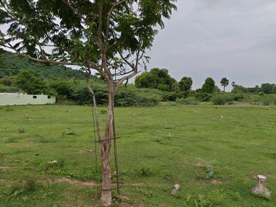 Image of 980 Sq.ft Residential Plot / Land for sale in Mahindra World City, Chennai for Rs. 1469026