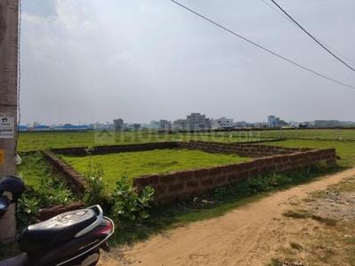 Kalpana Square Plot View 2