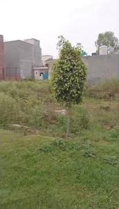 Image of 810 Sq.ft Residential Plot / Land for sale in Bhago Majra, Mohali for Rs. 3870000