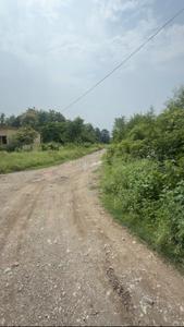 Image of 34020 Sq.ft Residential Plot / Land for sale in Kota Range, Nainital for Rs. 27500000