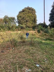 Image of 10441 Sq.ft Residential Plot / Land for sale in Rau, Indore for Rs. 20882000