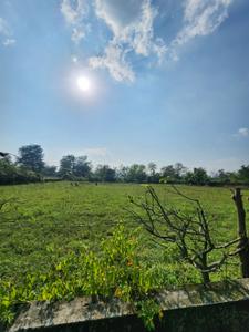 Image of 8100 Sq.ft Residential Plot / Land for sale in Thano, Dehradun for Rs. 27800000
